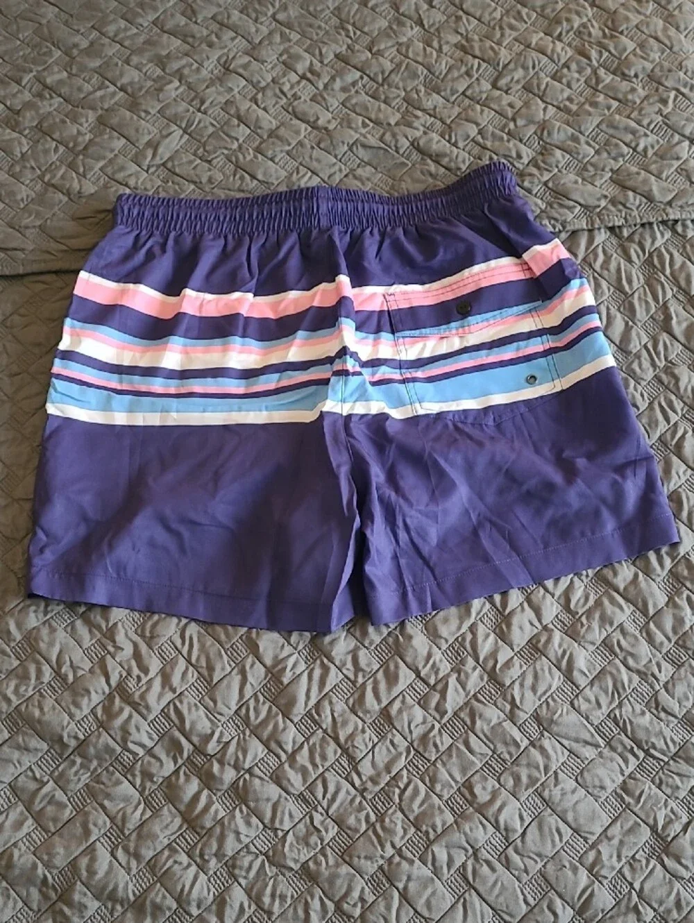 Purple Stripe Men's Swim Shorts